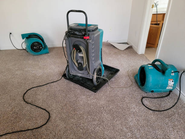 Best Ceiling water damage repair  in Rockport, IN