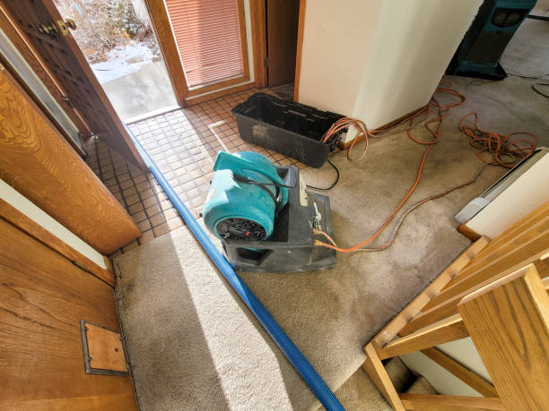 Best Water damage restoration cost  in Rockport, IN