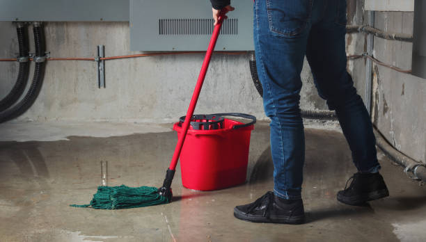 Best Water damage cleanup near me  in Rockport, IN