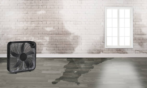 Best Emergency water damage restoration  in Rockport, IN